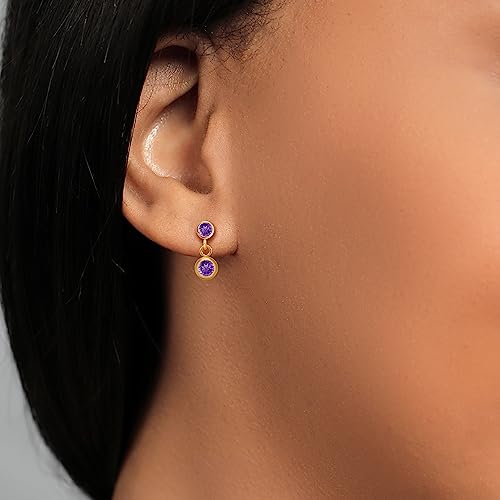 Gem Stone King 14k Yellow Gold Purple Amethyst and Purple Amethyst 2 Stone Dangle Earrings For Women (0.70 Cttw, Gemstone February Birthstone, Round 4MM, Round 3MM)4