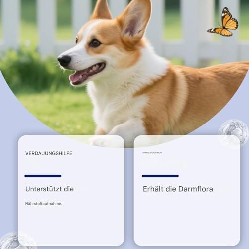 Peufcmi Verdauungsunterstützung für Hunde - 200g Energie Ernährung | Welpen Verdauungsunterstützung - für juckende Haut, Appetit, Haarglanz, Stoffwechsel und Energie bei Hunden