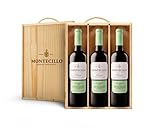 Montecillo