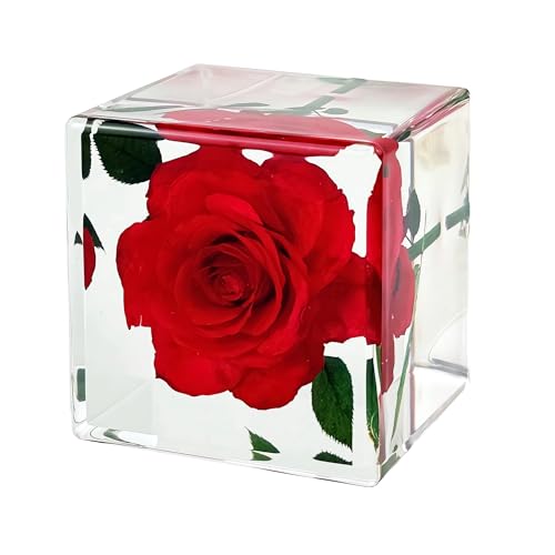 Image of Nature Plant Flower Rose Specimen in Resin Preserved, Science Educational Classroom Specimens, Clear for Closer-Look & Study. Novelty Crafts Decor Ornament, Amazing Unique Gift (Cube 1.9x1.9x1.9-inch)