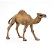 Papo - 50151 - Figurine - Animaux - Dromadaire