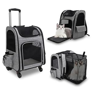 Accesorios y Complementos para Mascotas y Animales 10 Qivine Transportín Carrito para Mascotas, Capacidad 15kg 43 x 34 x 29 cm Grande Plegable Mochila con Ruedas, Transpirable Ligera Tela Oxford Perros Bolsa de Transporte Trolley para Gatos y Cachorros