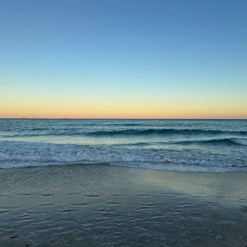 The Next Quarter Century