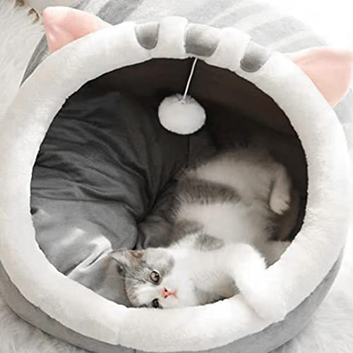 Teckey Cuccia per Gatti, cucce per Gatti Lavabili