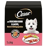Cesar 5 x 1.4kg Adult Hundetrockenfutter mit frischem Huhn, Lachs & Gemüse