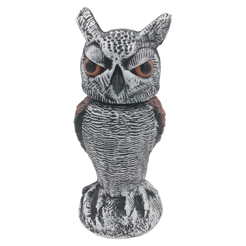 ALCXAZS tNE艮Op]wbht ABS Ɠcɂ̒i, 