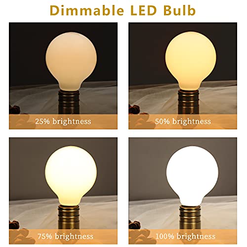 Image of G25 LED Globe Light Bulbs Glass, E26 Base, Warm White 2700K, 6 Pack