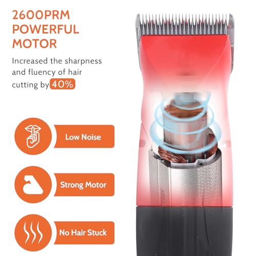 35W Electric Pet Hair Clipper Cutter Trimmer Shaver Grooming Kit for Small Larger Dog Cat with 3 Interchangeable Blades and 3m Power Cable, Dog Clippers for Grooming 35W Electric Pet Hair Clipper Cutter Trimmer Shaver Grooming Kit for Small Larger Dog Cat with 3 Interchangeable Blades and 3m Power Cable, Dog Clippers for Grooming