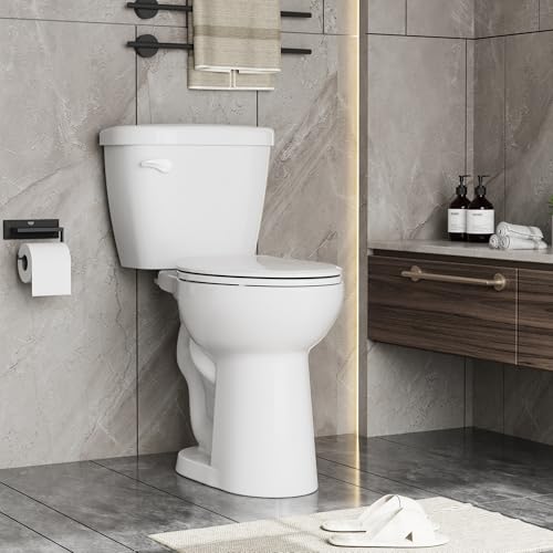 19 Inch Tall Toilet, Two-Piece Elongated Toilet with ADA Comfort Chair Height Seat, Powerful 1.28 GPF Single Flush Bowl for Bathroom, Elongated Toilet Seat