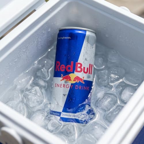 Red Bull Energy Drink, 250 ml, Mixed Fruit - Image 6