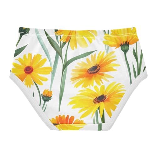Toddler Underwear Custom 2t Cotton Cute Panties Girl Animal Briefs Underpants Yellow Orange Wildflowers White2