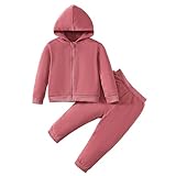 Chichoo Baby Girls Boys Toddler Hoodie Sweatsuit Zipper 2Piece Fall Clothes Sweatpants Jogger Outfits Set(Pink,18-24months)