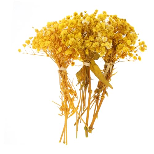 Ramo de flores secas Gypsophila Yellow 3 unidades