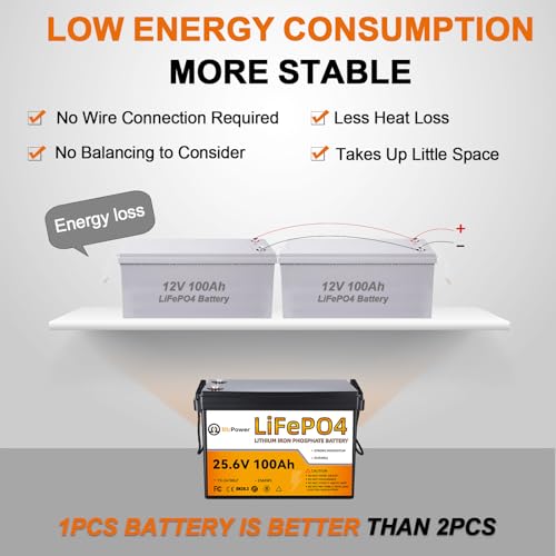 Image of 24V 100Ah LiFePO4 Lithium Battery, Built-in 100A BMS,2560Wh Lithium Battery,4000-15000 Deep Cycles & 10-Year Lifetime, Perfect for Marine, RV, Marine, Trolling Motor, Solar Off-Grid System