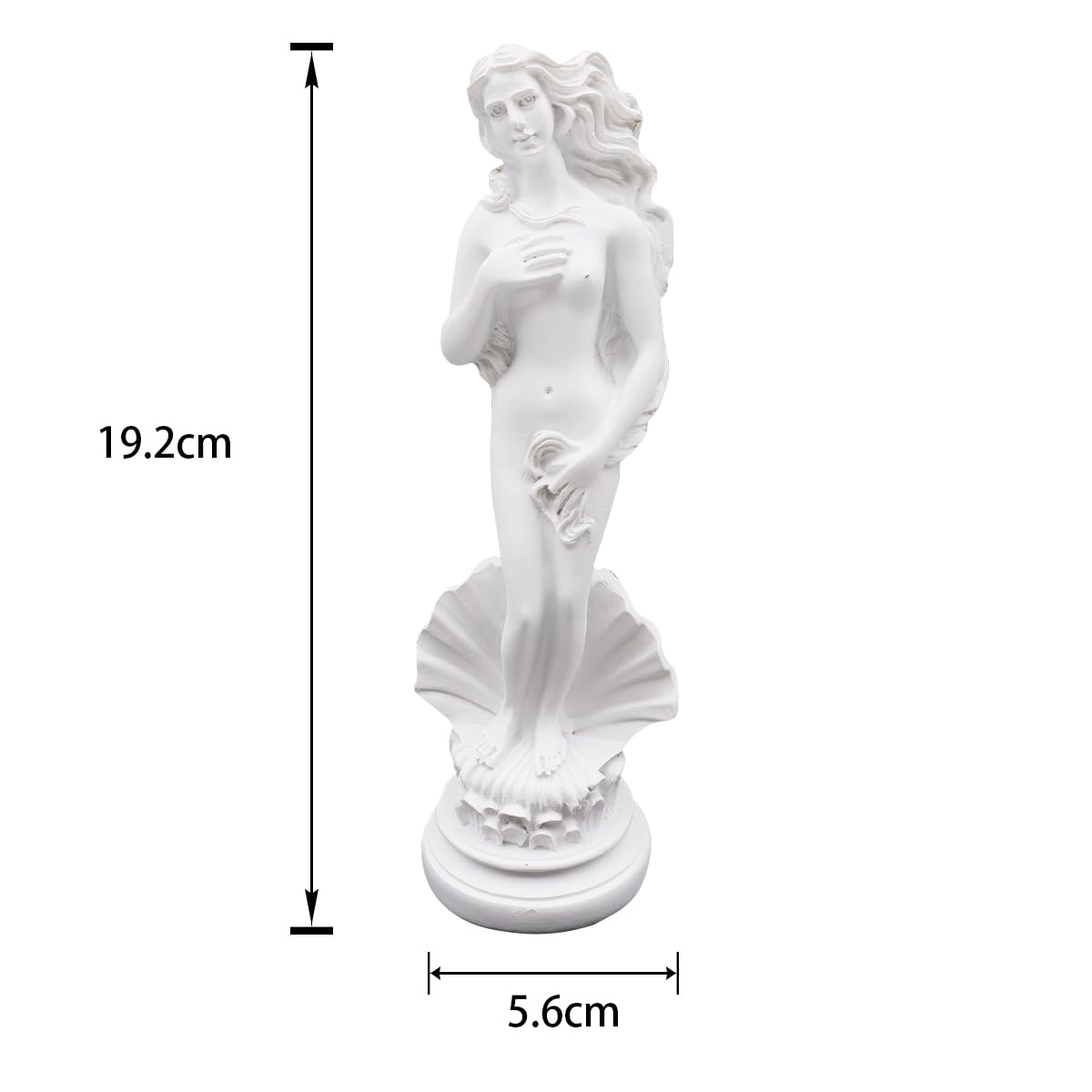 Riven Scultura in resina di Afrodite, statua decorativa della dea greca con base di conchiglia, ornamenti classici bianchi per la decorazione artistica della casa