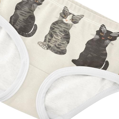 Girls' Brief Underwear Soft Cotton Underwear Kids Brief Panties for Girls and Toddlers 2-8 Years2