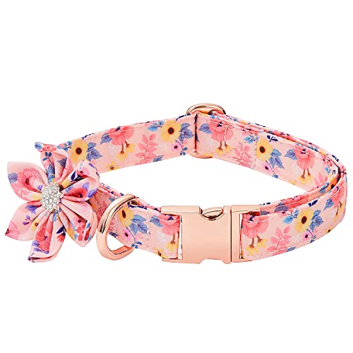 W/W Lifetime Dog Collar with Daisy TieA3p^[ \tgŉKȃt[vg pbhtybgJ[ ͂ȃ^obNt j̎qƏ̎q̌p(sNAL)