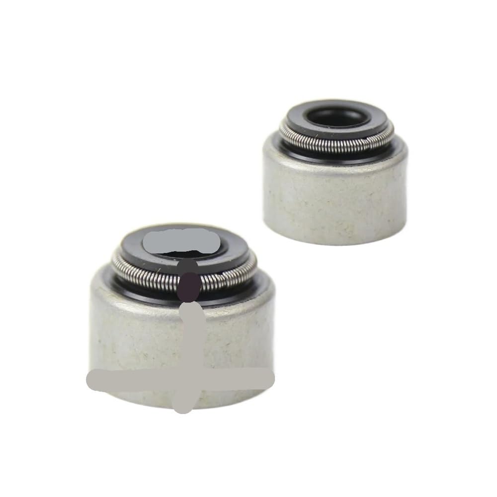 Kit de joints de soupape YP250 avec ressort haute résistance pour cylindre 69mm LH260