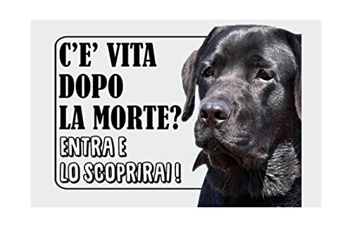 MAREMMANO Attenti Al Cane Mod 2 TARGA Cartello IN METALLO (20X30