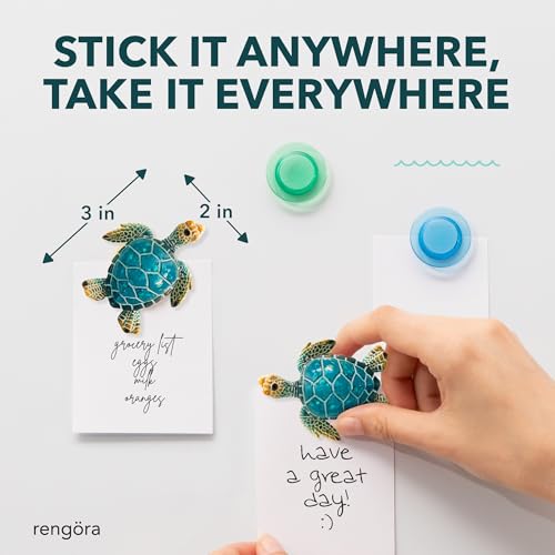 Imán Decorativo Tortuga Azul 3x2 Pulgadas miniatura 4
