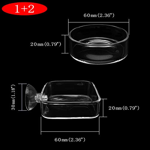 Image of Aquarium Shrimp Feeder Dish Glass Fish Tank Feeding Bowls, 2pcs Square Glass Food Bowl (60mm), 1pcs Round Fish Feeding Bowls with Suction Cups (60mm)