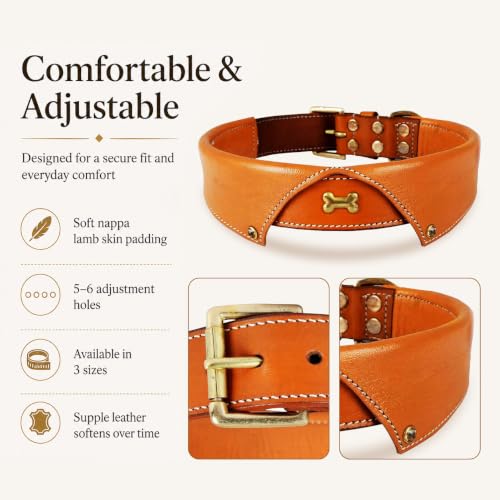 Image of Genuine Leather Tuxedo Shirt Dog Collar, Medium, Tan, Cushioned Padding | Brass Buckle, Medium, D Ring, Heavy Duty, Padded, Fit Neck Size 14.5 inch-18.5 inch