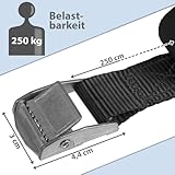 Zurrgurt Spanngurte | TÜV geprüft | Befestigungsgurt Spanngurt Klemmverschluss | Belastbar bis 250 kg | Schwarz | diverse Längen Stückzahlen - 4er Pack 2.5 cm x 2.5 m