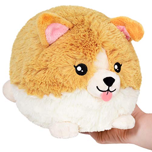 Squishable / Mini Baby Corgi - 7