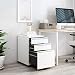 Homfa Mueble Archivador Móvil Armario Archivador Oficina Cajonera con Cerradura 3 Cajones...