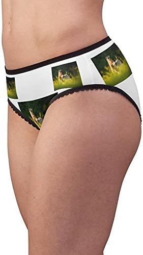 Przewalski Horse Grazing Panties, Przewalski Horse Grazing Underwear, Briefs, Cotton Briefs, Underwear, Panties For Women