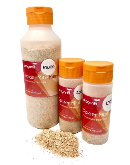 Dragonfli Red Spider Mite Killer Phytoseiulus Persimilis Predator Mites - 1000, 2000, 4000, 10000 (4000)