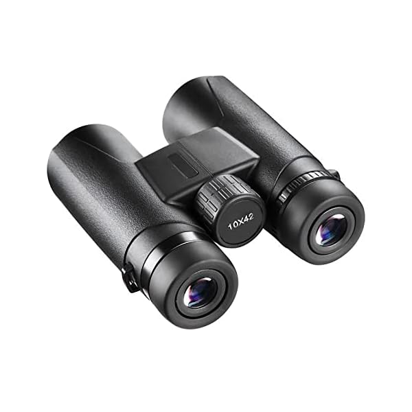 10x42 Fernglas FüR Erwachsene Hd FerngläSer FüR Wandern Jagen Vogelbeobachtung Und Mehr – Bild 3