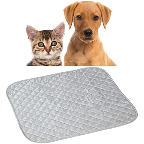 Magnetic Pet Sleeping Mat with Magnets Cover