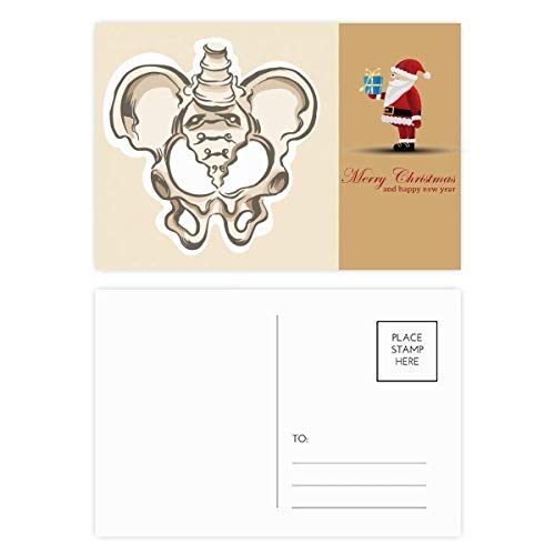 Cartes postales Père Noël squelette (lot de 20) pour correspondance originale