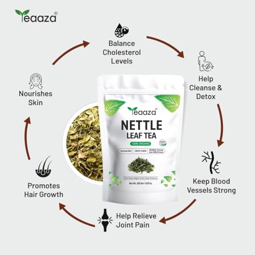 Image of Teaaza Organic Nettle Leaf Tea | Nettle Tea Leaves, 250 Grams, 200+ Cups | Sourced from Himalayas | For Kidney Detox, Raising Hemoglobin & Joint Health, Budget Pack