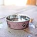 Loving Pets Bella Dog Bowls- Stainless Steel Dog & Cat Bowls - Spill Proof Dog Food Bowl, Cat Bowl, Puppy Essentials & Pet Supplies Great for Home & Travel (Medium 20-35 lbs, Grape)