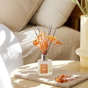 Airkeep Reed Diffuser Set,3.38 fl oz (100 ml) - Coconut&Pineapple Oil Diffusers with 8 Reed Sticks, Home Fragrance Reed Diffuser for Bathroom Shelf Decor Airkeep Reed Diffuser Set338 fl oz 100 ml CoconutPineapple Oil Diffusers with 8 Reed Sticks Home Fragrance Reed Diffuser for Bathroom Shelf Decor