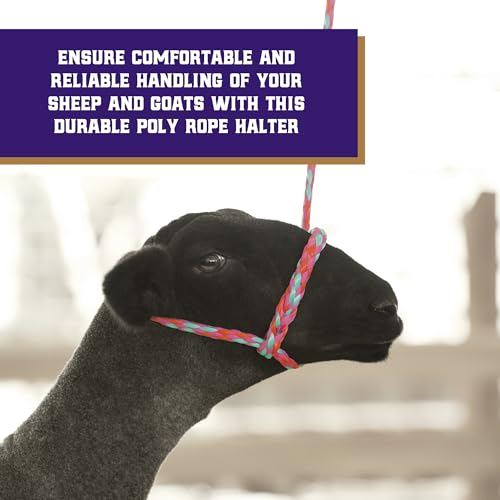 Weaver Livestock Poly Rope Sheep Halter, Modern Style Braid Sheep and Goat Rope Halter, Adjustable Lamb Halter Lead, Livestock Sheep Showing Supplies - Thumbnail 2