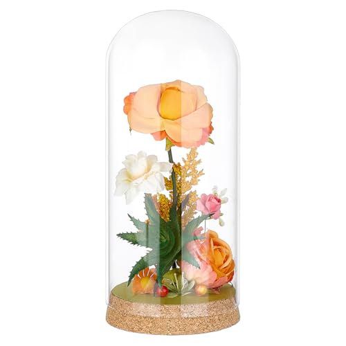 BENECREAT Campana de cristal de 90 x 210