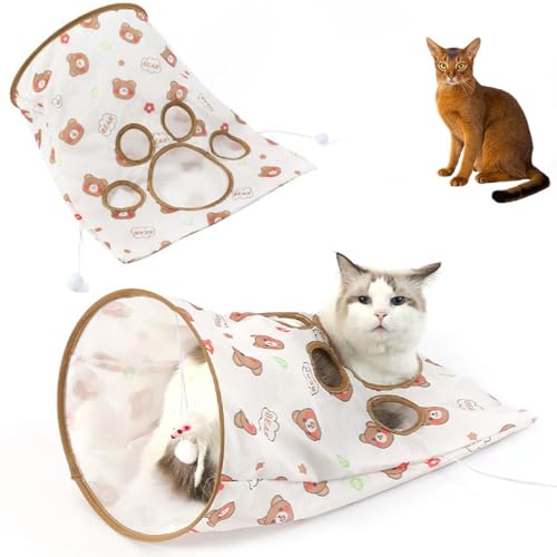 Lifetips ArVjA Abyssinian Lgl Lbggl ܂肽ݎ ybggl Lp   B  ^s XgXU RpNg[ 􂦂 iC {[t 炵t ܂