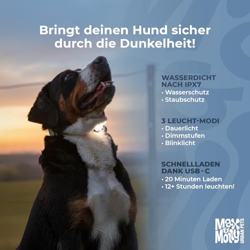 Max & Molly Matrix 2.0 Ultra LED, Hundelicht für Geschirr, Leine & Halsband, Schwarz, Wasserfest, USB Wiederaufladbar, Hundelampe LED, Hunde Leuchtanhänger für mehr Sicherheit bei Nacht