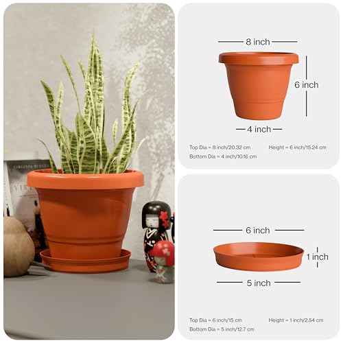 Image of YUCCABE ITALIA SHERA SD 8 INCH Pack of 8 with Bottom Tray Plastic Flower Pot Unbreakable Round Shape Planter for Garden Seedling Indoor and Outdoor