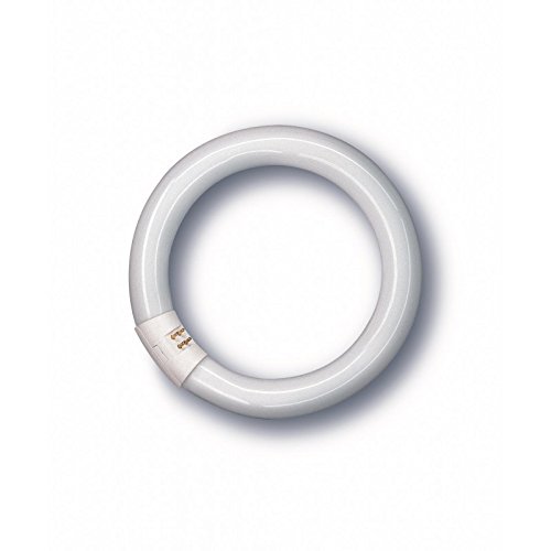 poessa 4008321581105 – Tube ILUMIN FLUORESC TRIFOSFORO Circular 22 W 6500 K Osram