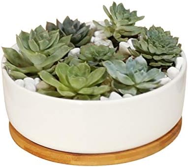LANKER 6.3 Inch Round White Ceramic Succulent Planter Pot Decorat...
