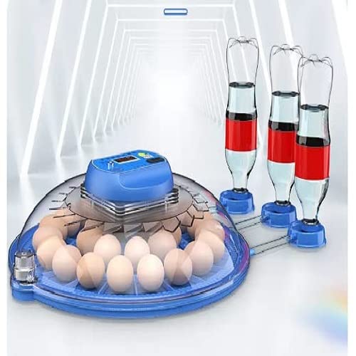 Buy TM&W- | Egg Incubator 8 Egg Incubator Eggs Automatic Turning
