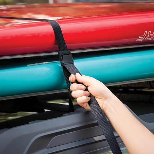 Aulese 4 Stück Spanngurte Schwarz, 250 kg Tragkraft 2,5 m Zurrgurte, Befestigungsriemen mit Edelstahlschnalle, Spannriemen Befestigungsgurt für Auto, Fahrradträger & Camping