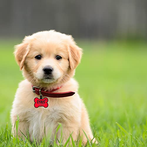 Silent Dog Tags Engraved For Pets, Double Sided - Personalized Soundless Durable Silicone Pet Tags For Dogs With Custom Name, Icon And Design - No More Jingling - Bone Shape #TOP4