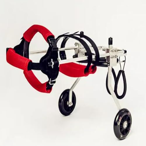 Silla de ruedas para perros de raza grande con carrito de 2 ruedas para tren trasero