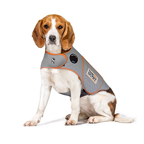 13 Best Dog Thunder Jacket In 2024 [Latest Updated]
