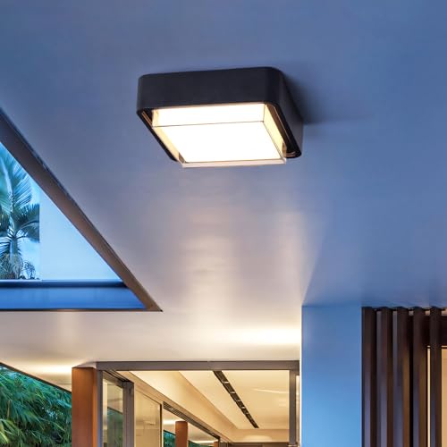WAYEE Wandleuchte Aussen,Außenlampe,Außenwandleuchten,Außenleuchte,Deckenleuchte,Doppelte Montage (Wand/Decke),LED12W,Schwarz Wasserdicht IP65...